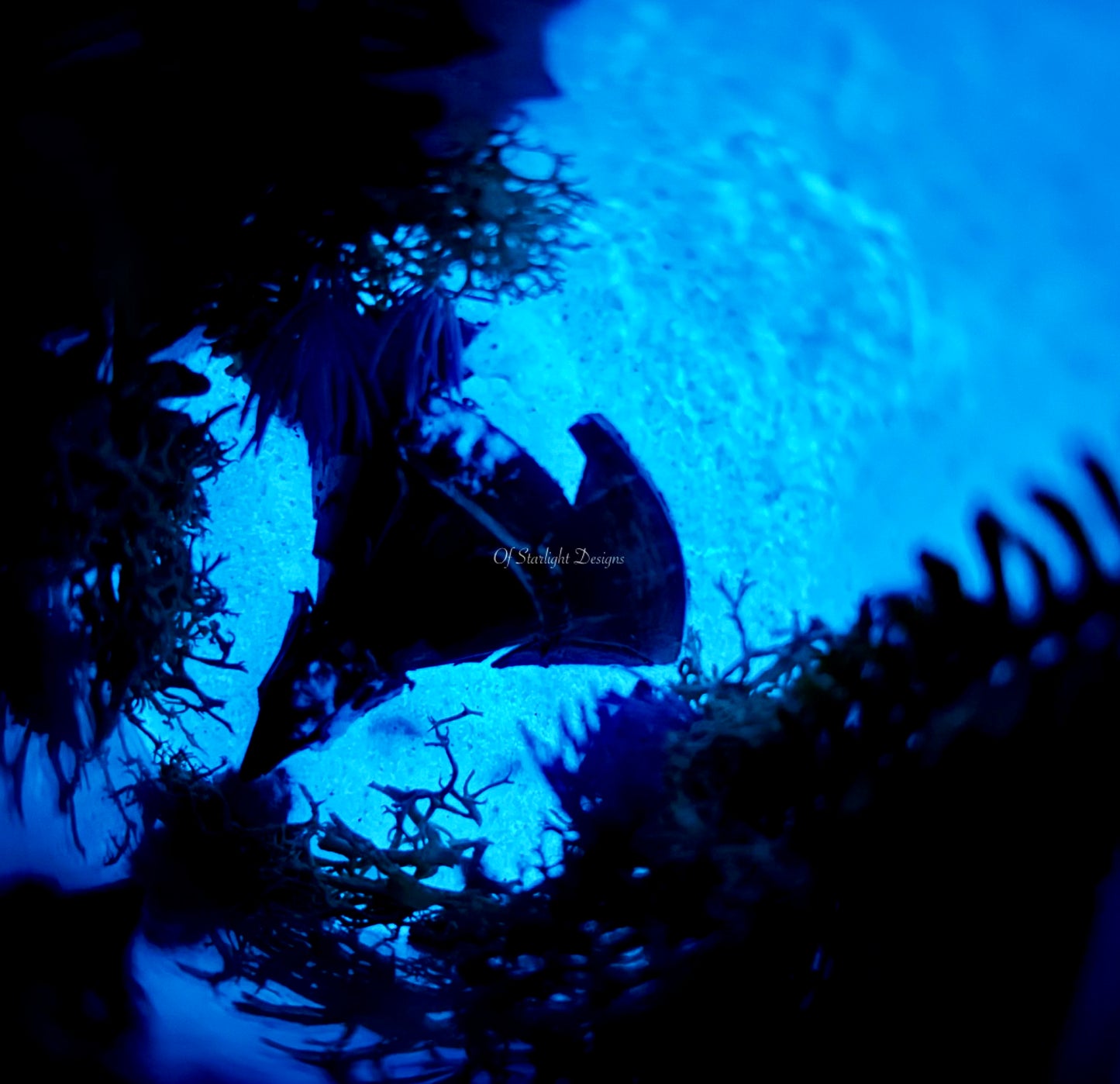 Forgotten Waterfall Light Test Tube