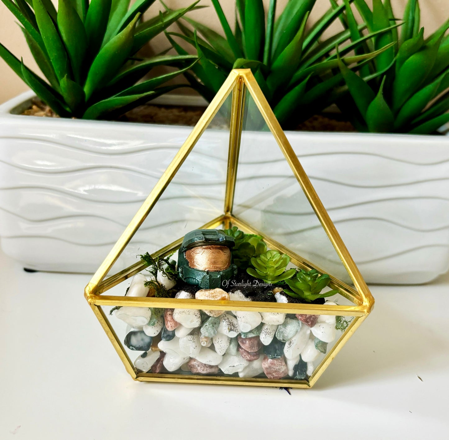 MIA Terrarium