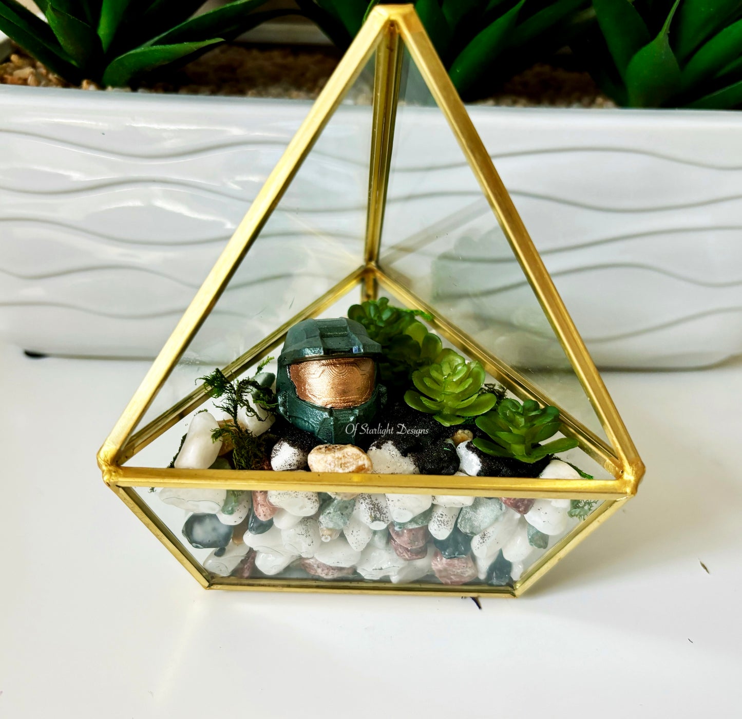 MIA Terrarium