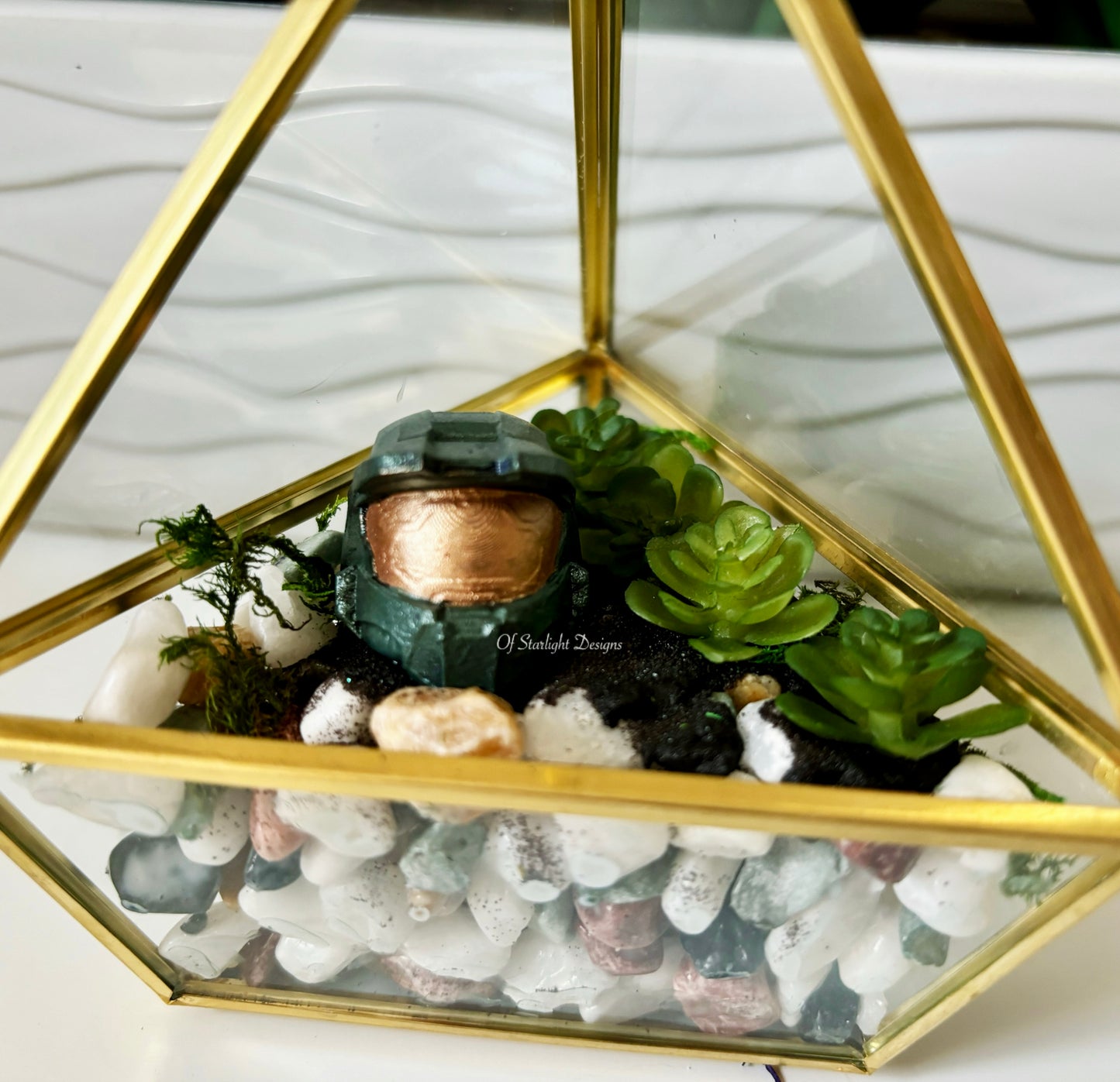 MIA Terrarium