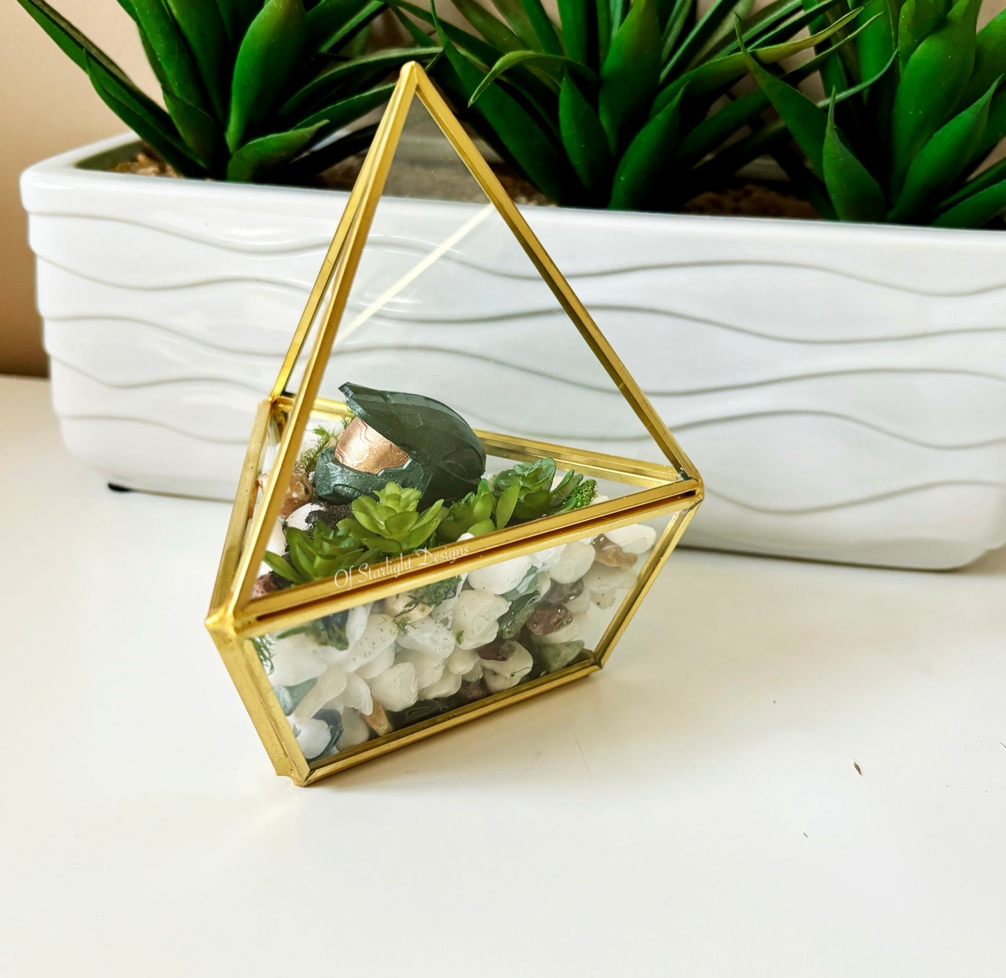 MIA Terrarium