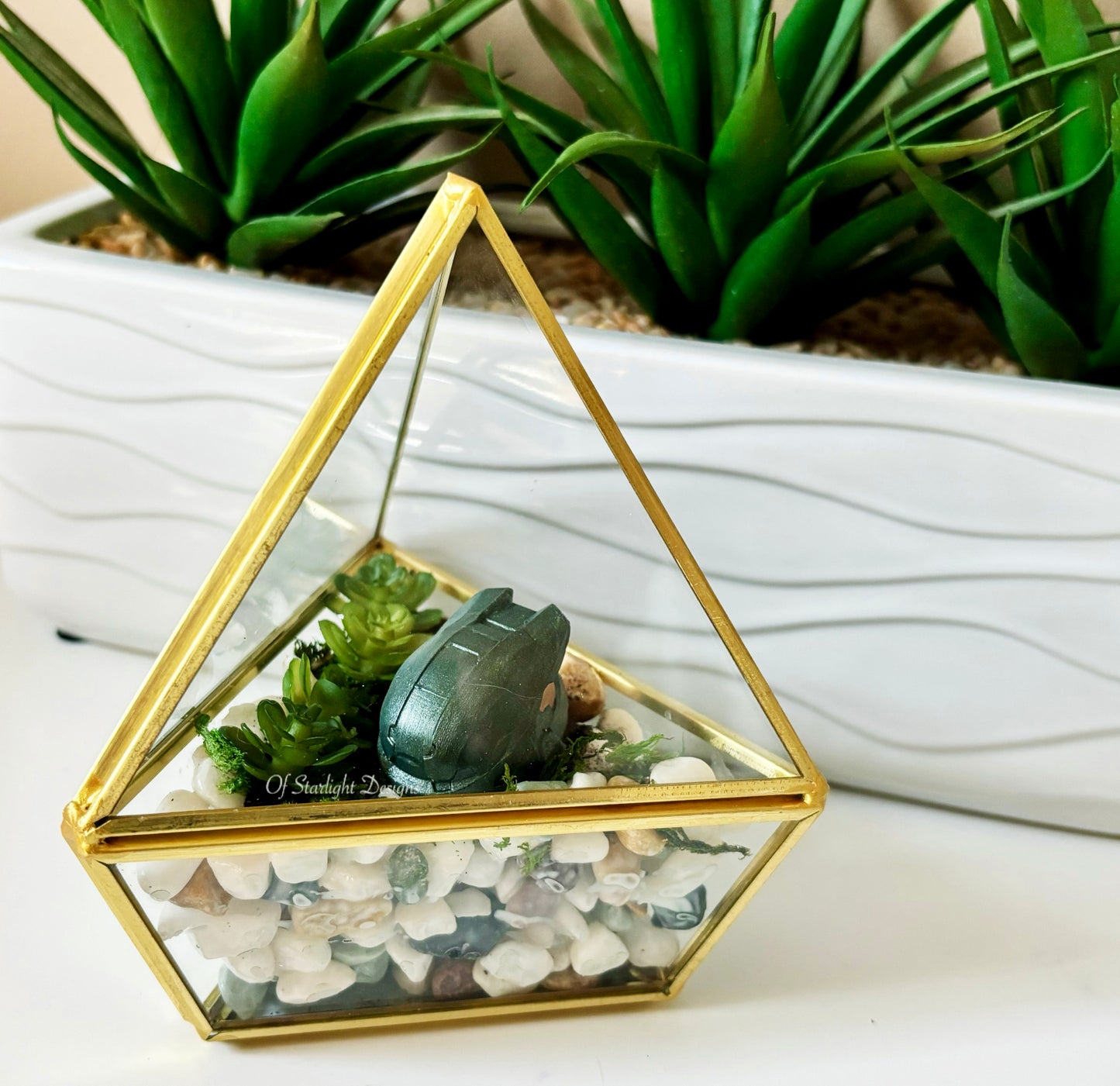 MIA Terrarium