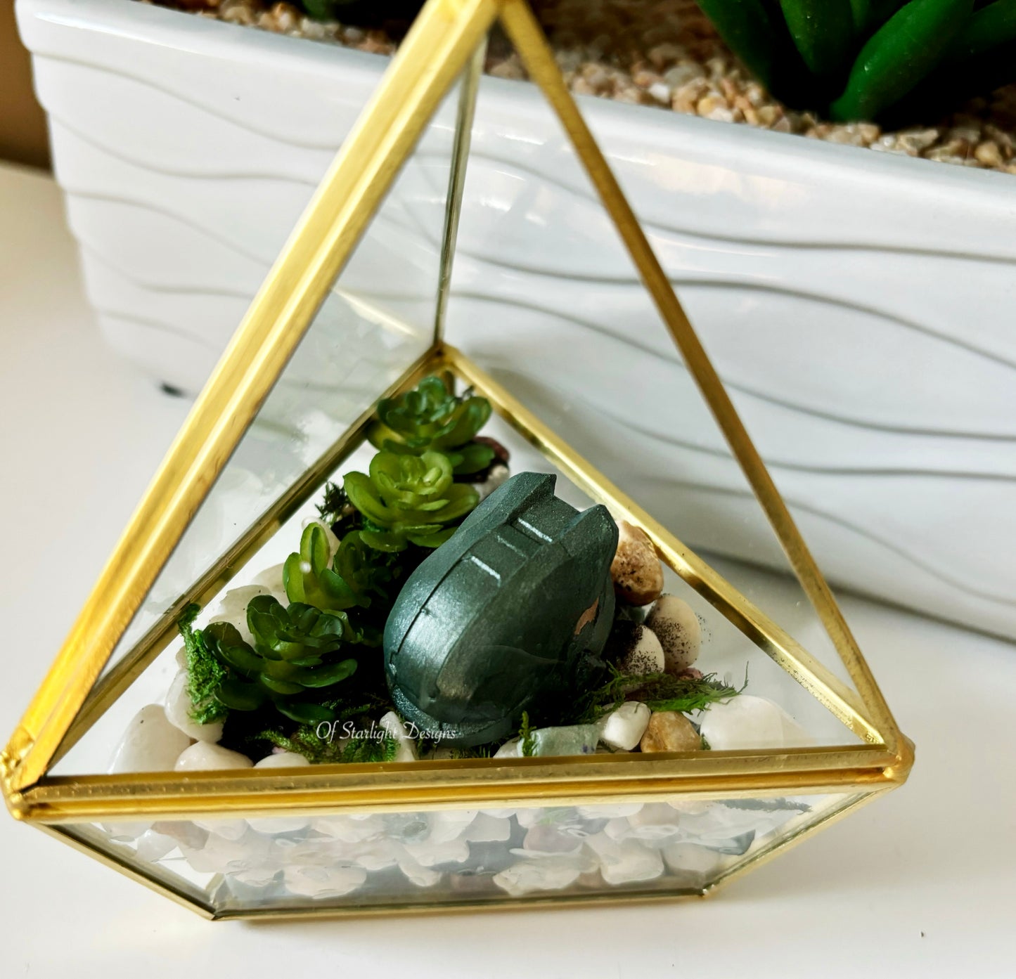 MIA Terrarium