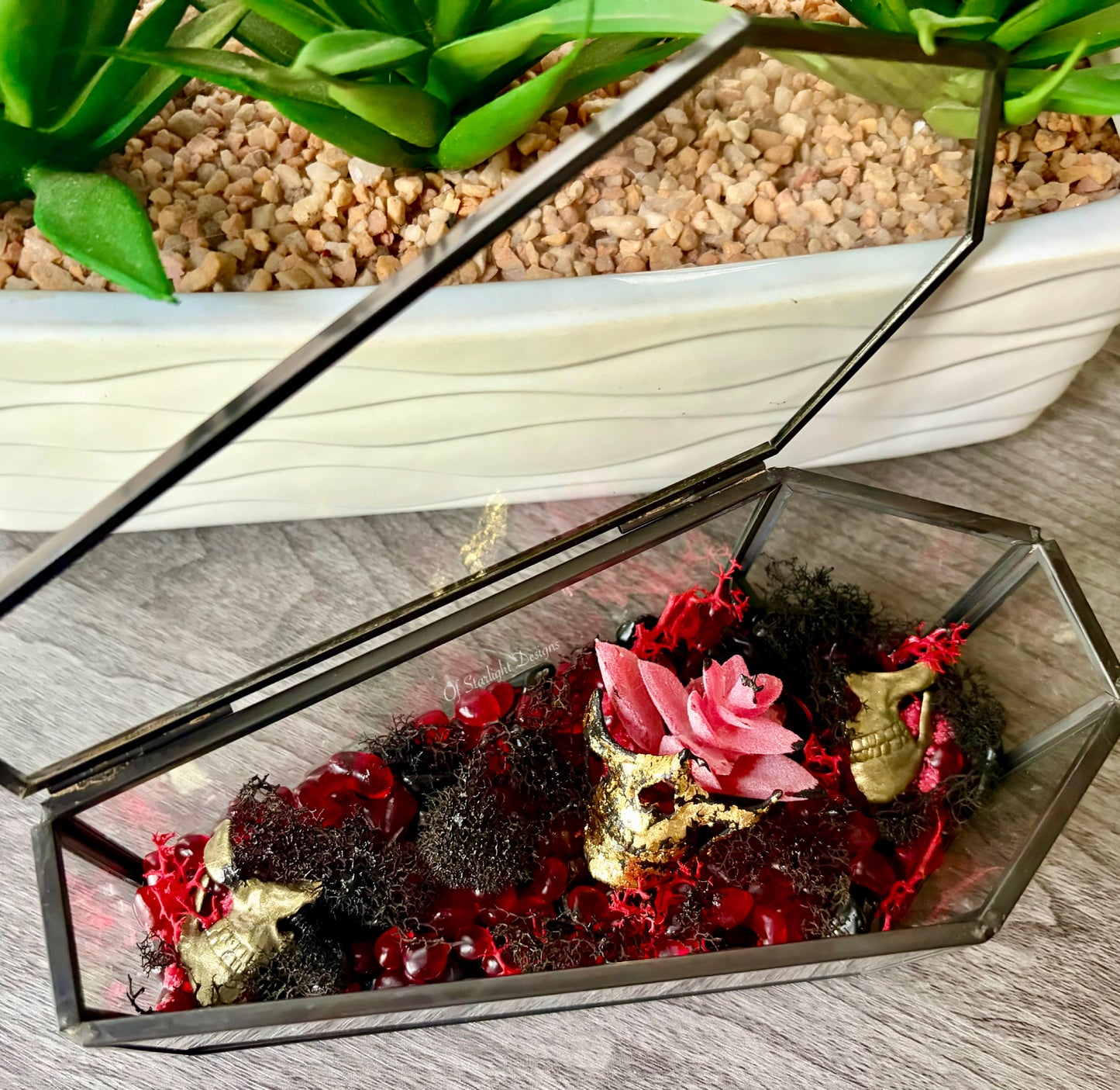 Partical Coffin Terrarium