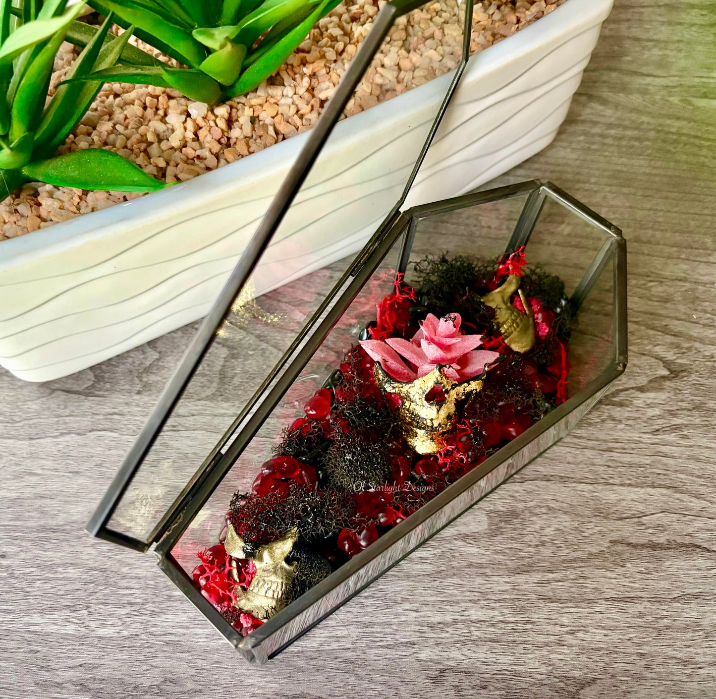 Partical Coffin Terrarium
