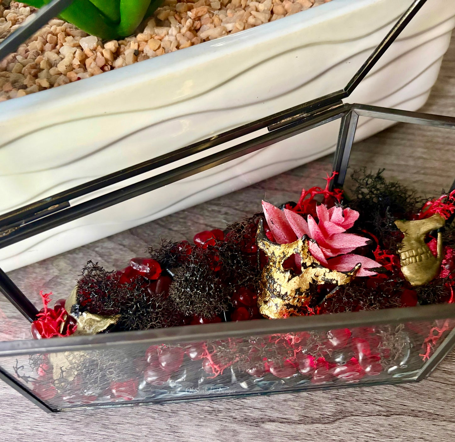 Partical Coffin Terrarium