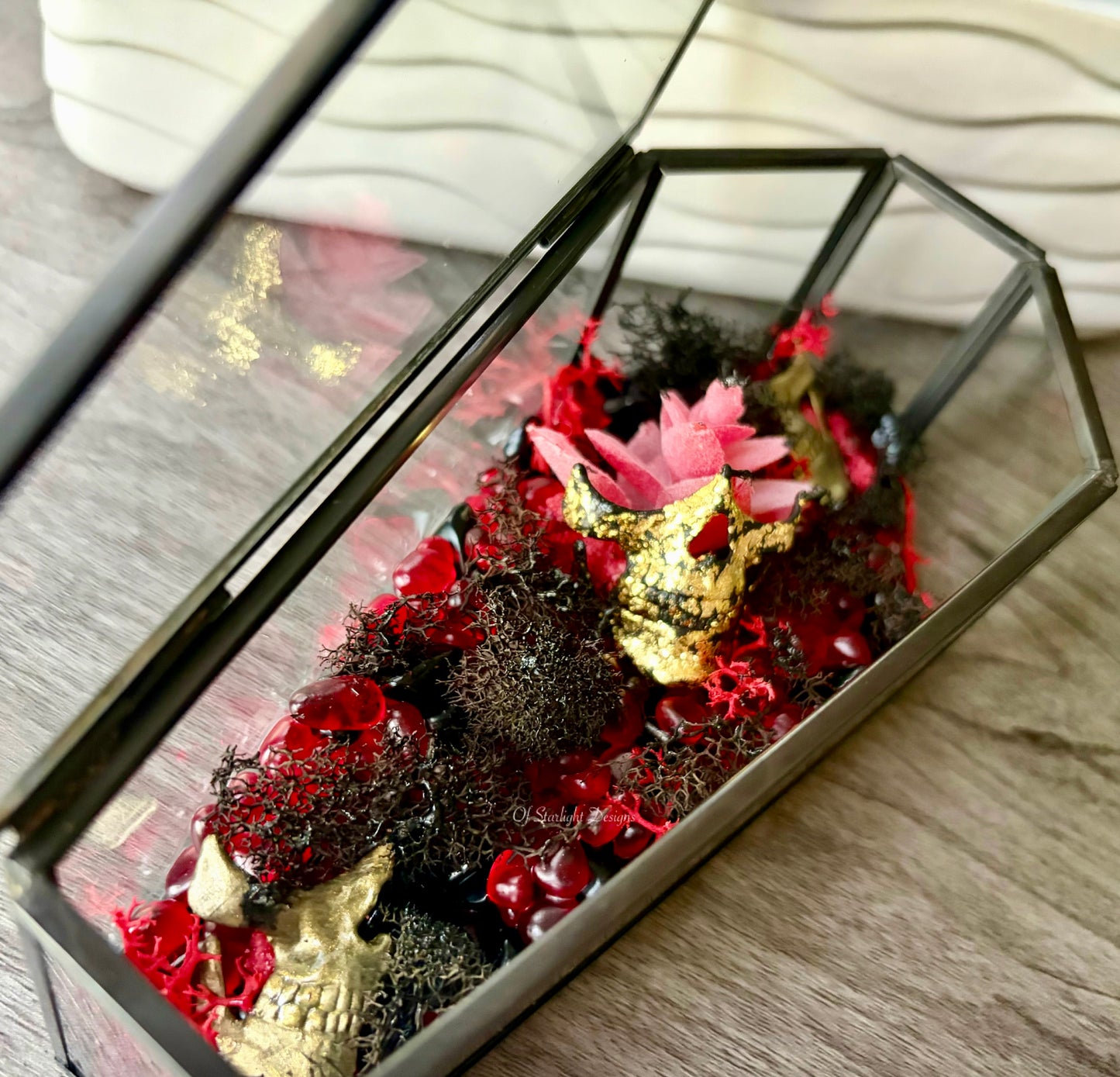 Partical Coffin Terrarium