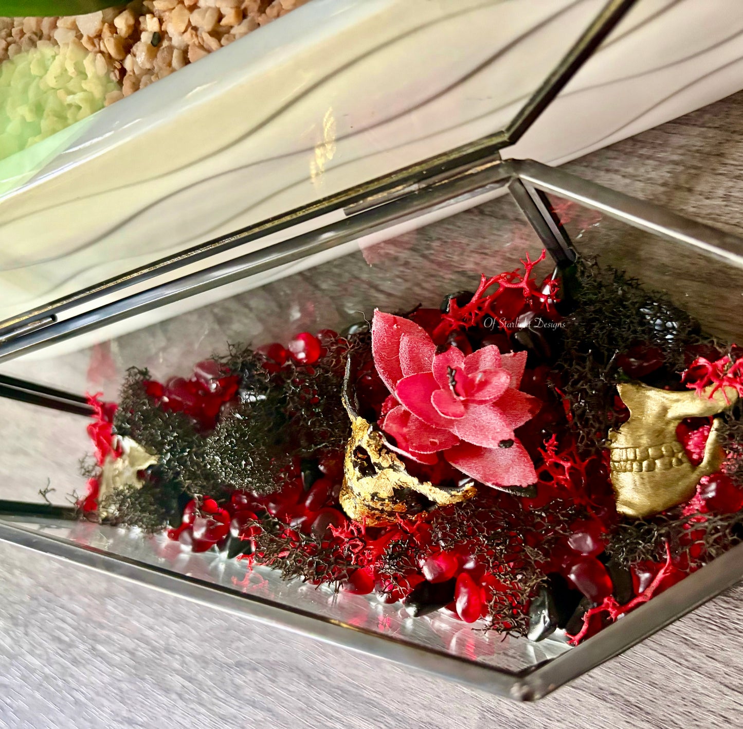 Partical Coffin Terrarium