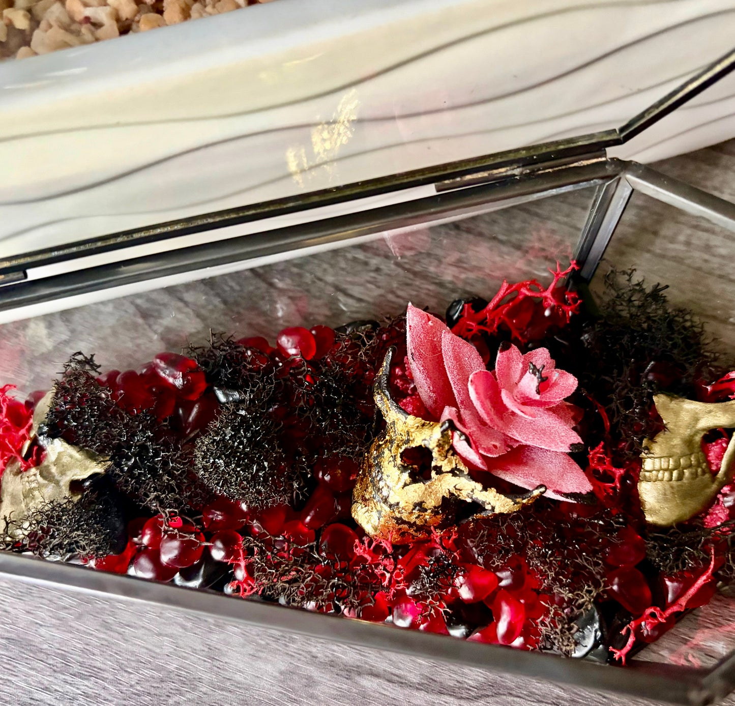 Partical Coffin Terrarium