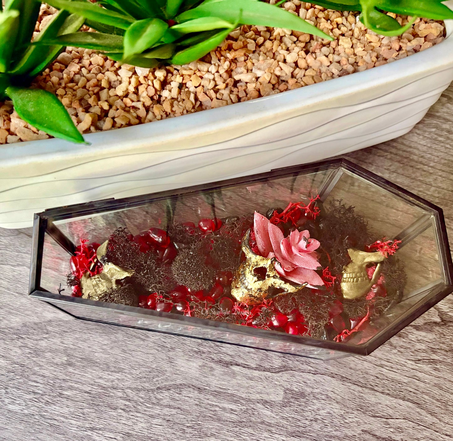 Partical Coffin Terrarium