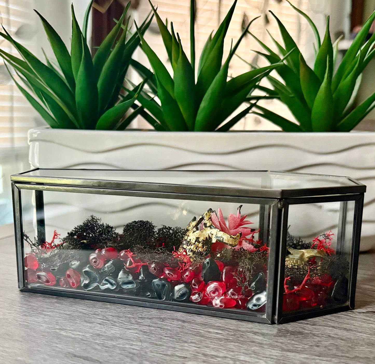 Partical Coffin Terrarium