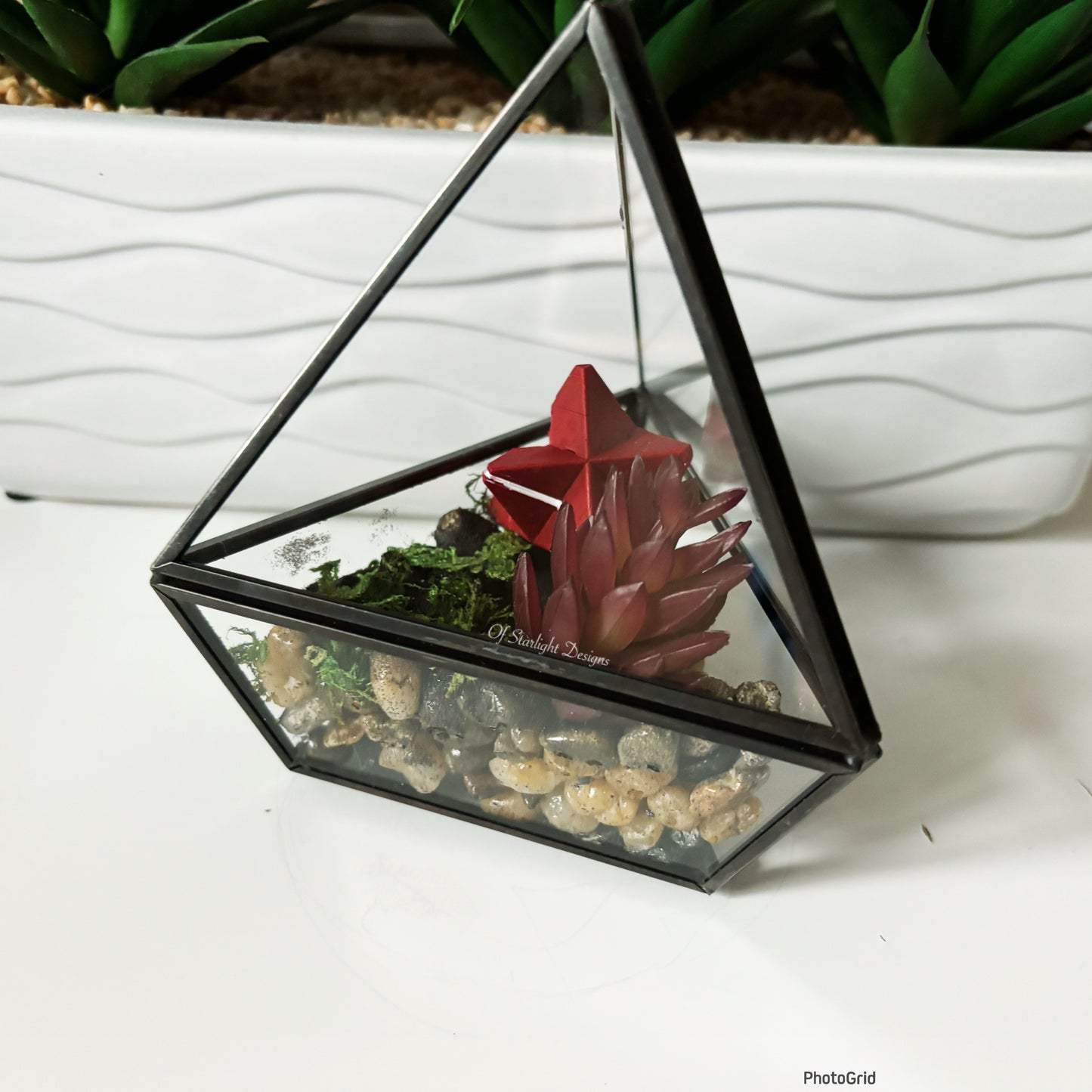 Red Little Light Terrarium