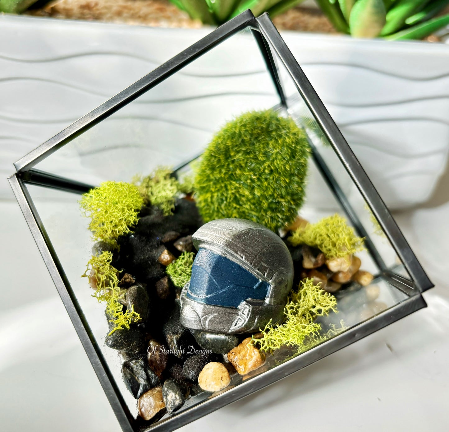 ODST Terrarium