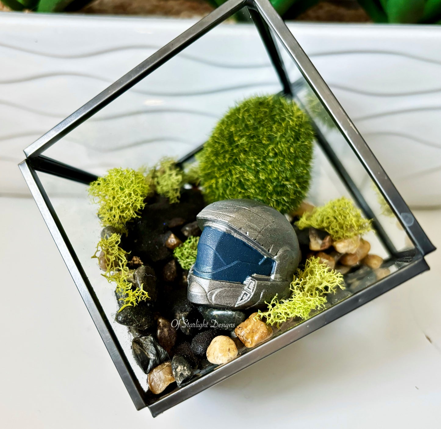 ODST Terrarium