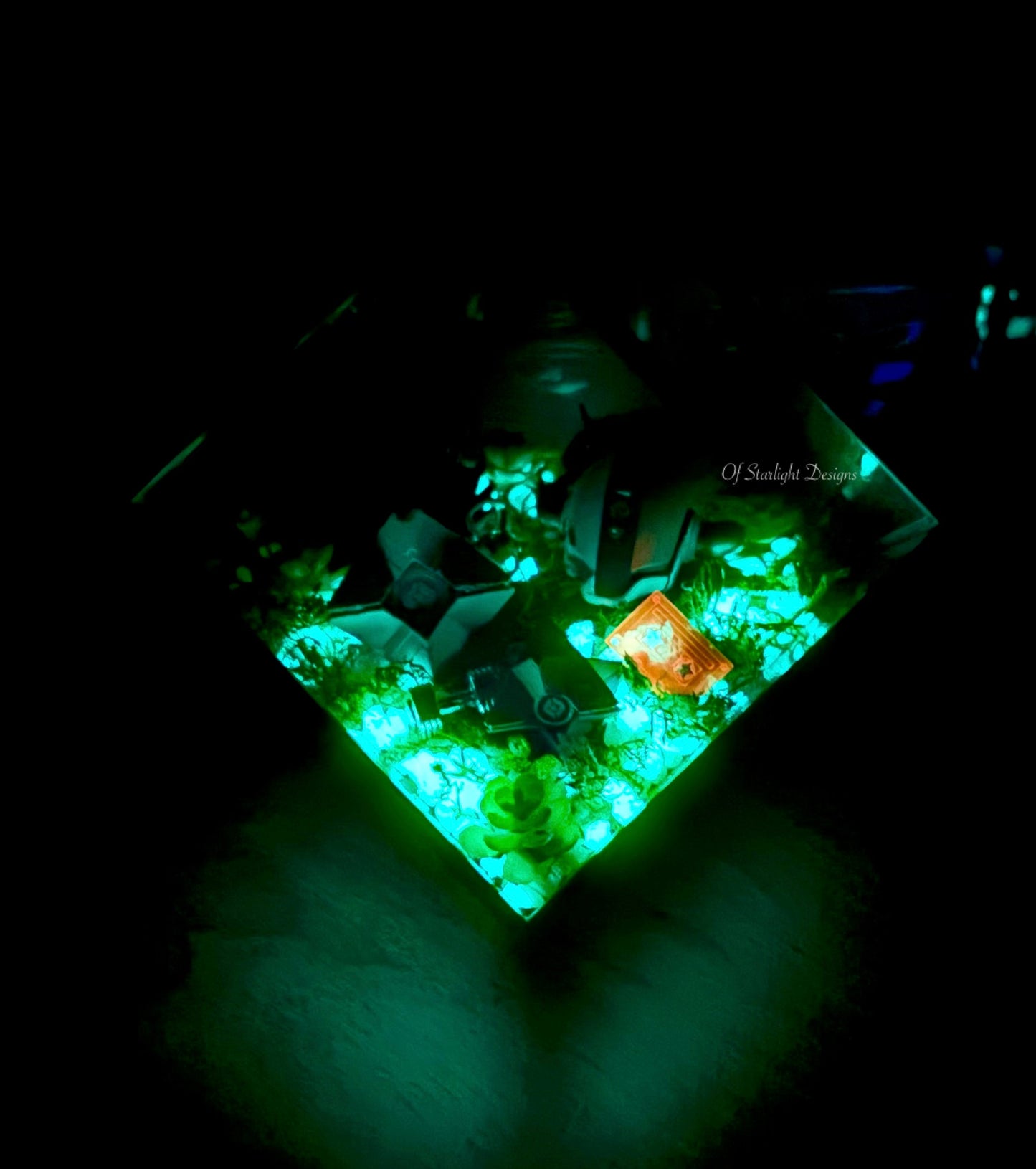 The Lord Training Terrarium