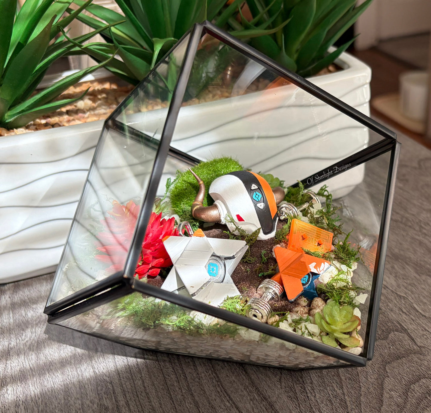 The Lord Training Terrarium