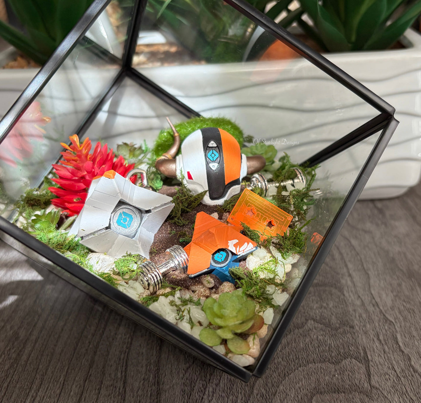 The Lord Training Terrarium