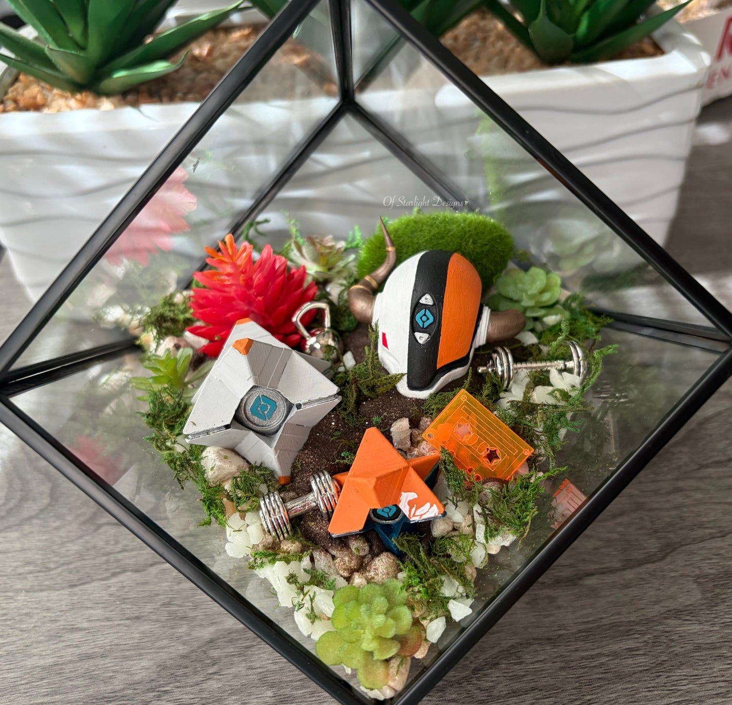The Lord Training Terrarium