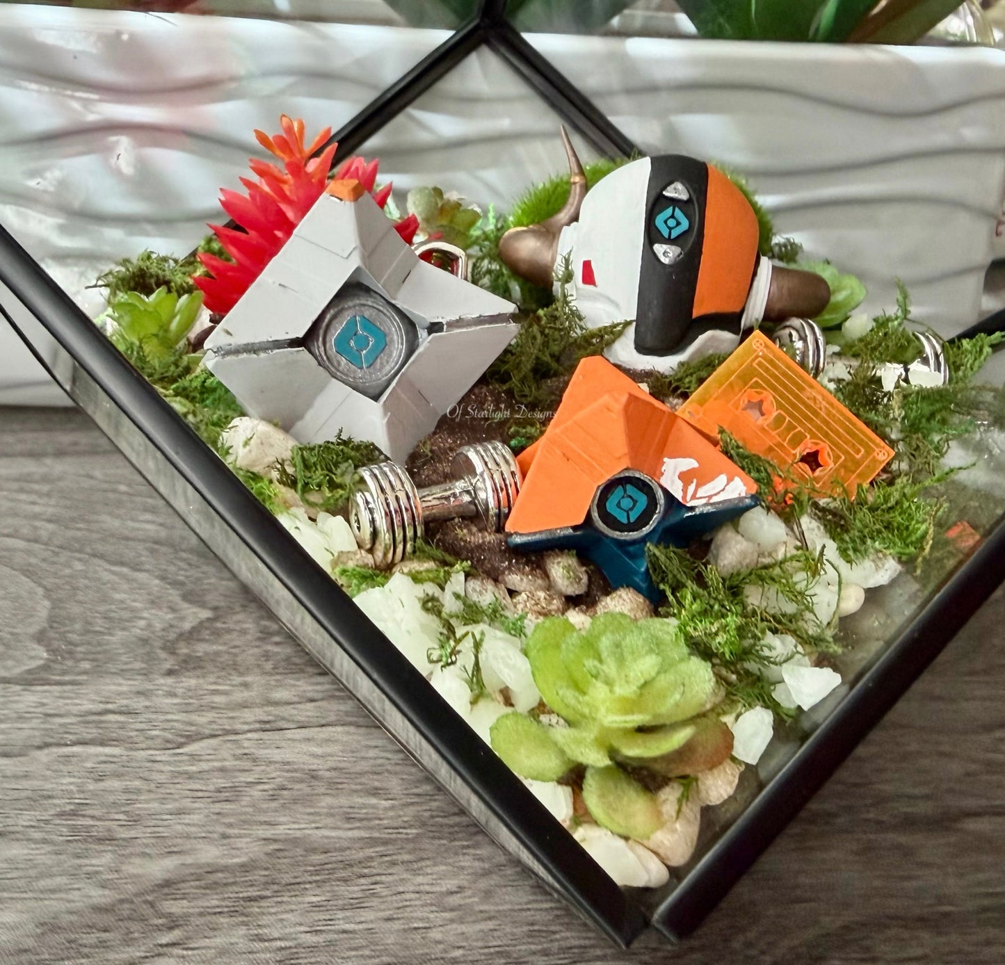 The Lord Training Terrarium
