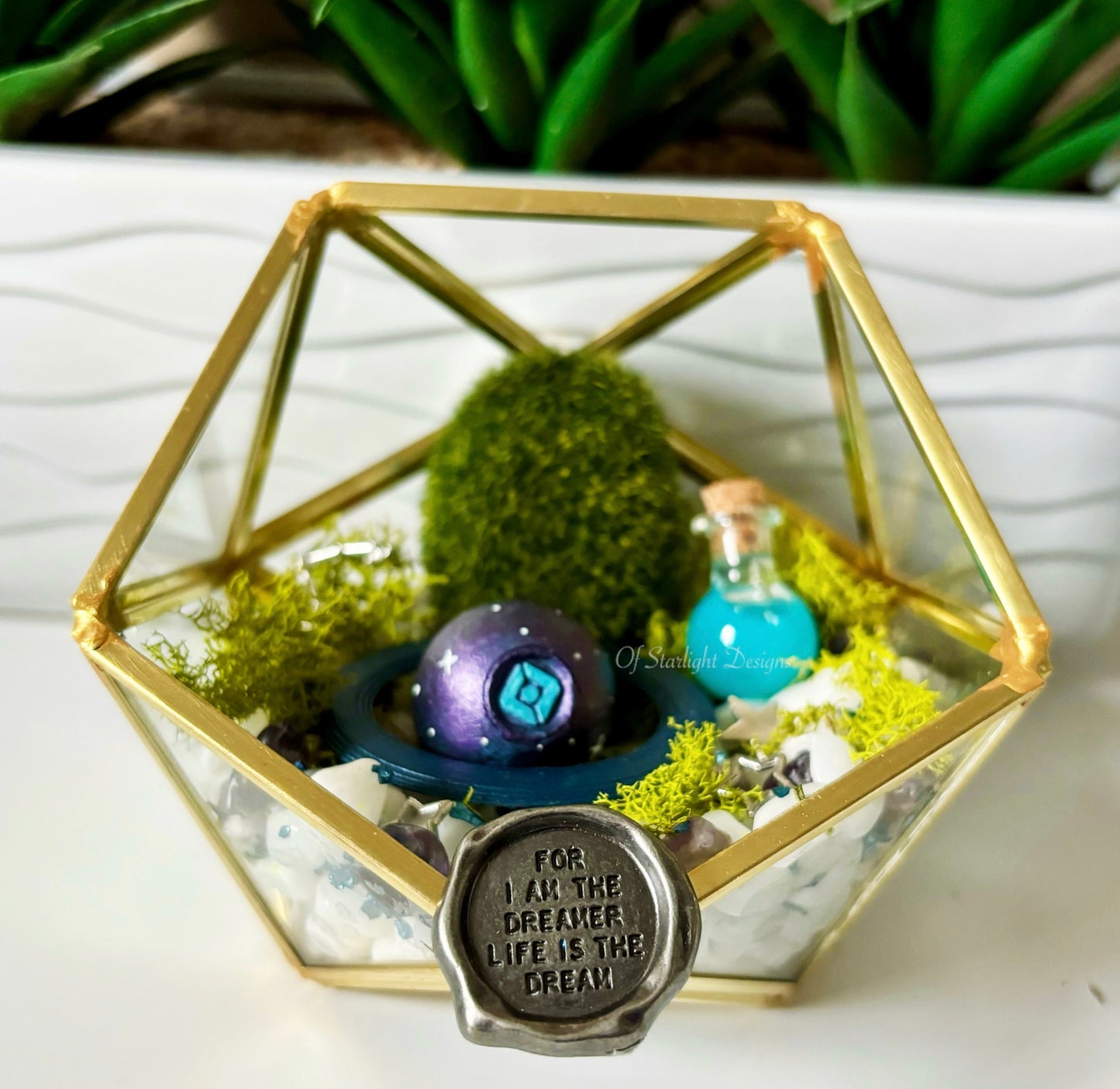 Dreamers Little Light Terrarium