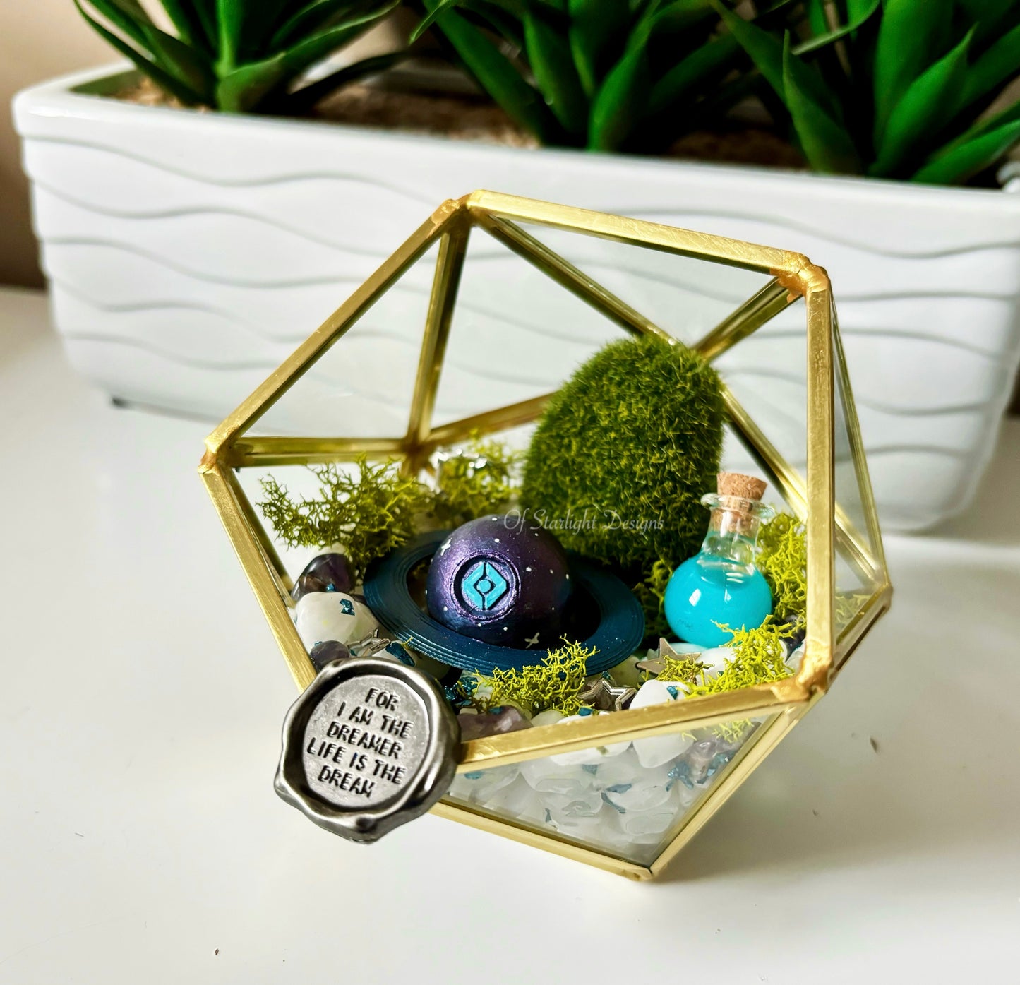 Dreamers Little Light Terrarium