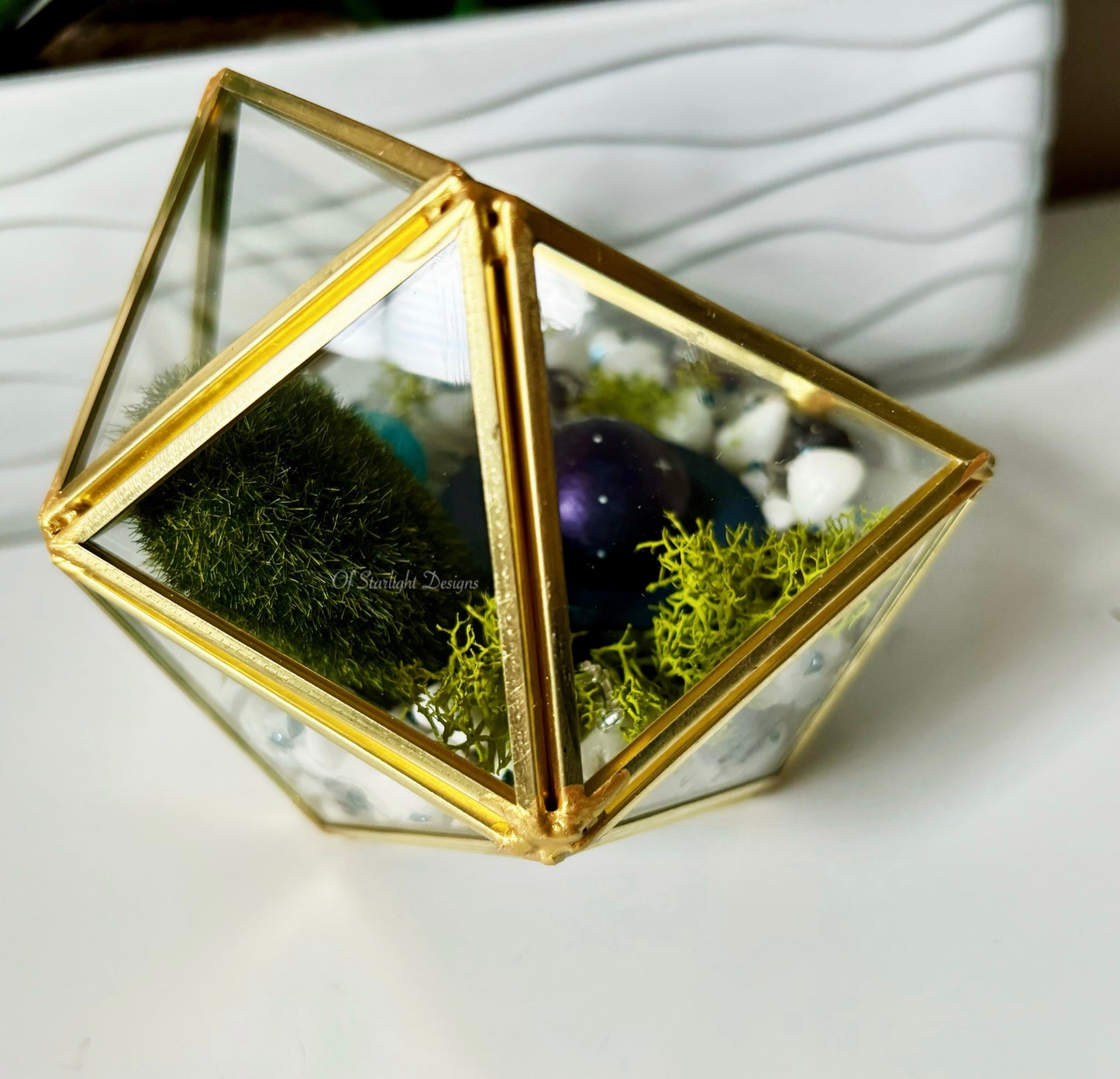 Dreamers Little Light Terrarium