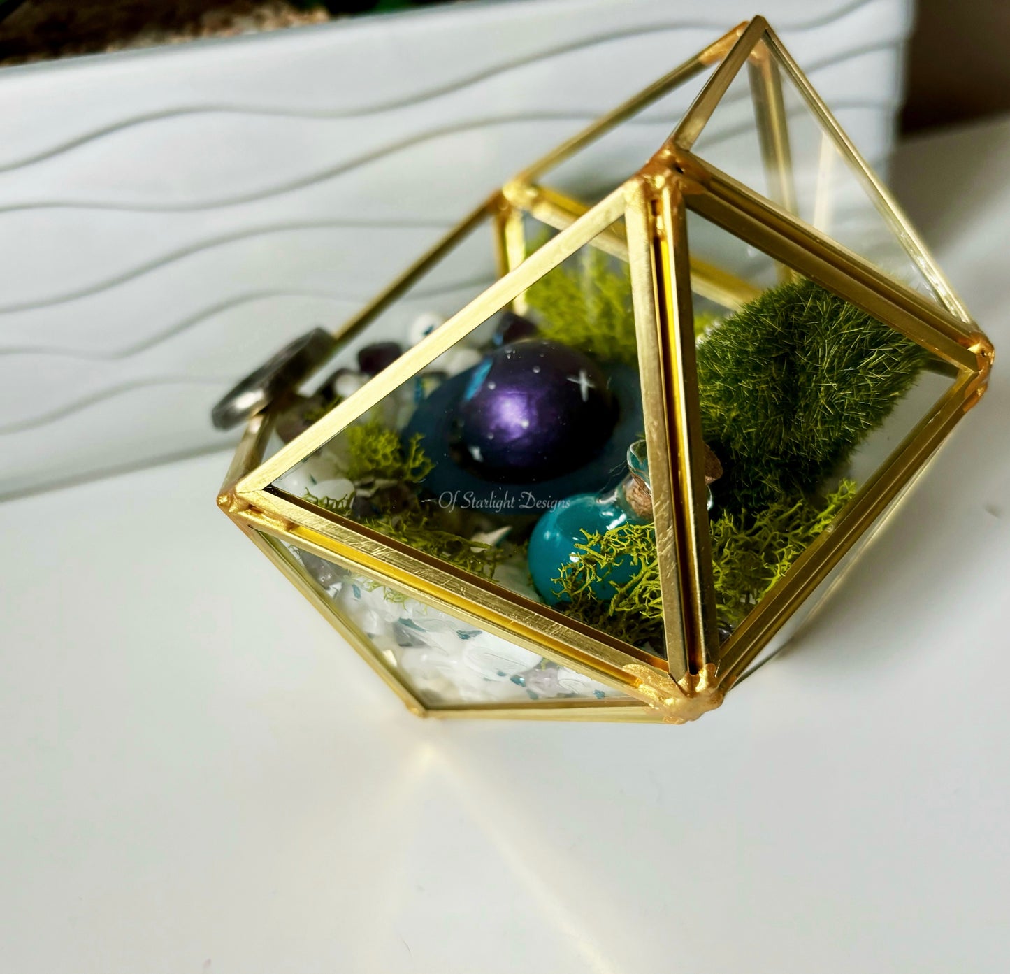 Dreamers Little Light Terrarium