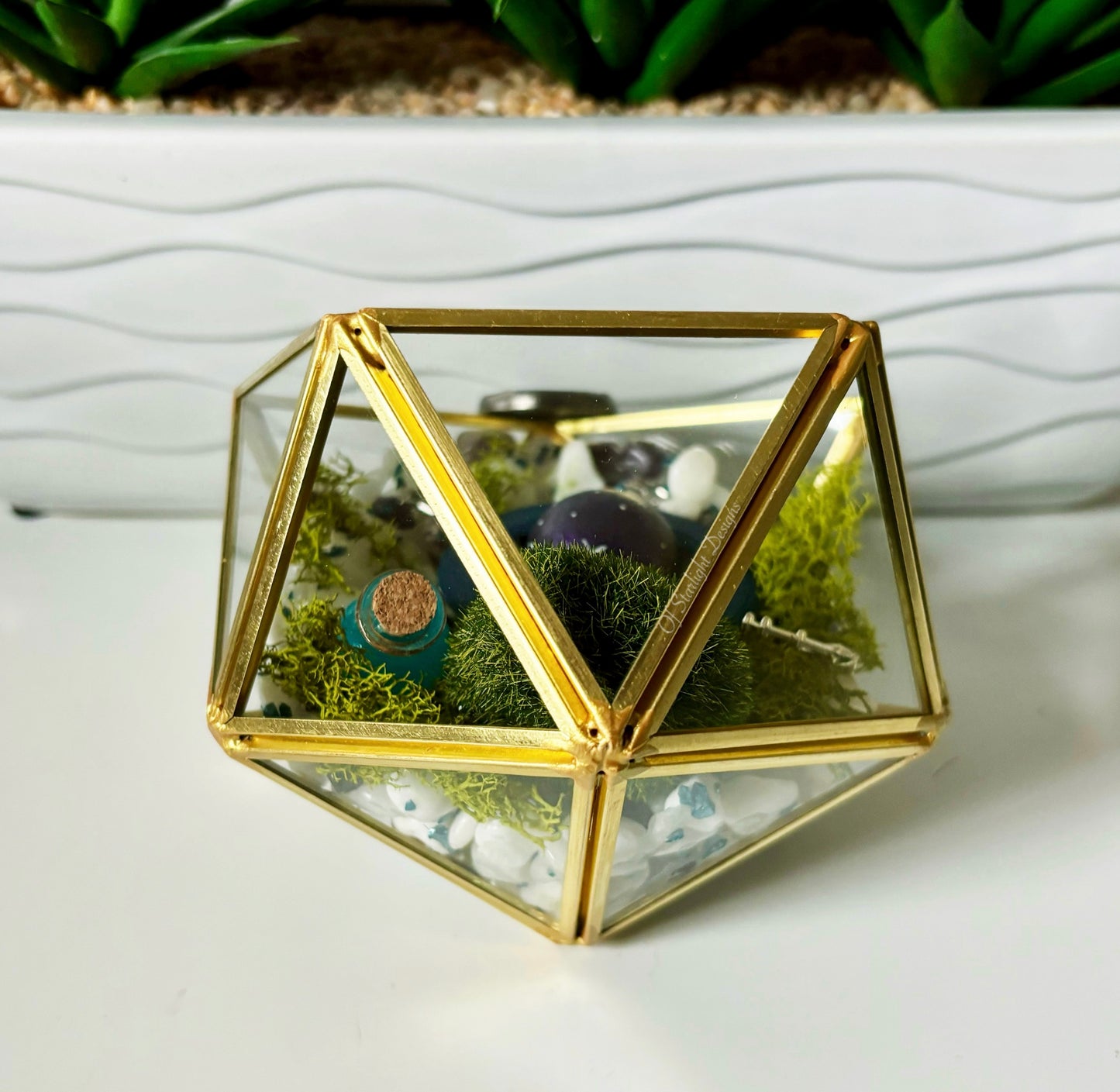 Dreamers Little Light Terrarium