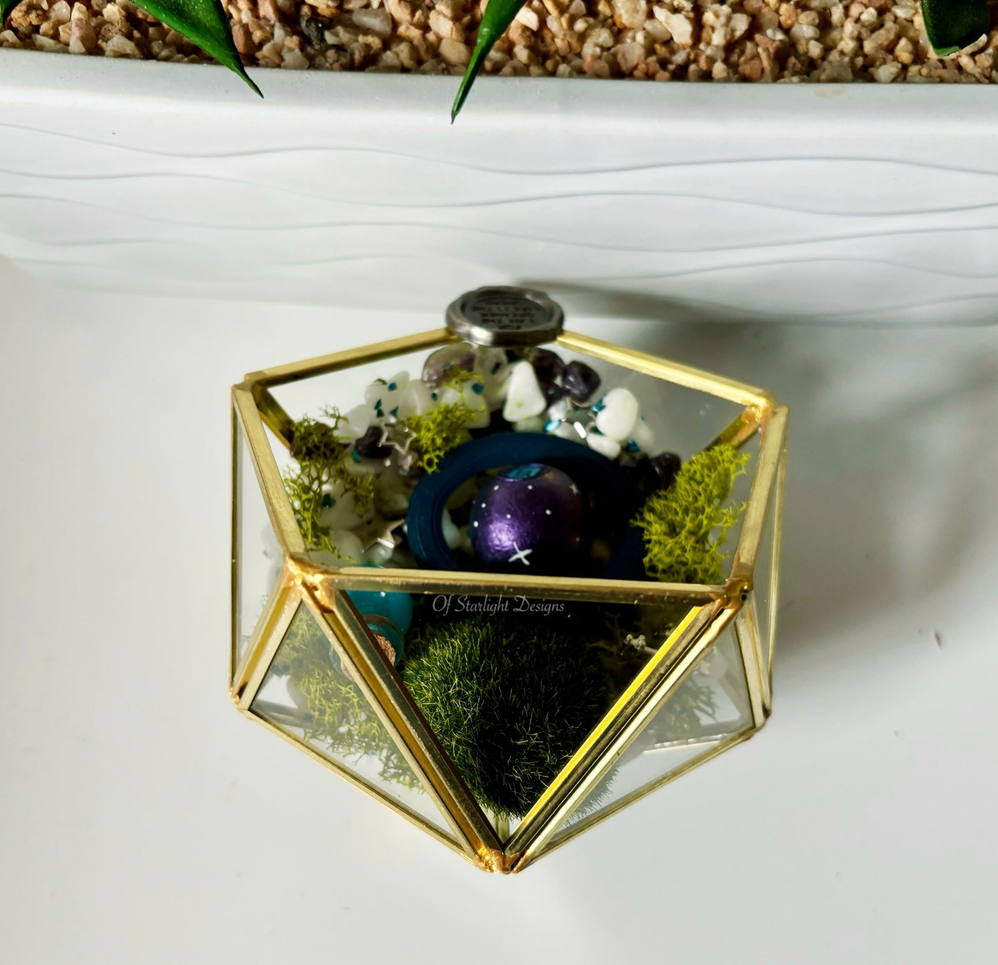 Dreamers Little Light Terrarium