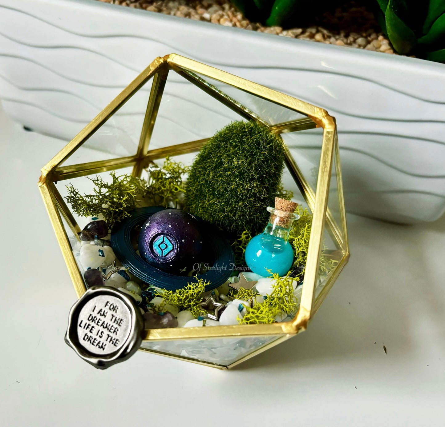 Dreamers Little Light Terrarium