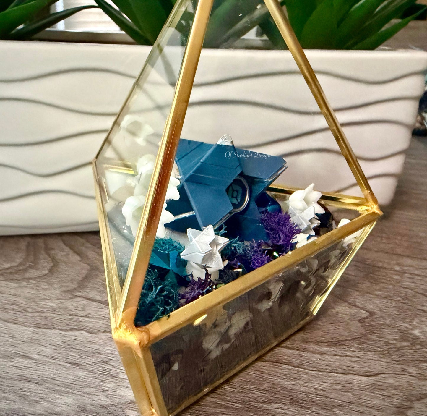 Space Lily Little Light Terrarium
